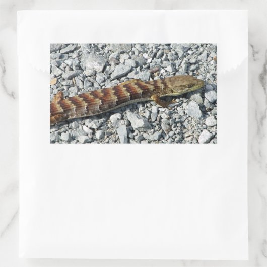 Alligator Lizard Stickers (Tasche)