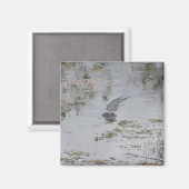 Alligator Magnet (Vorderseite/Rückseite)