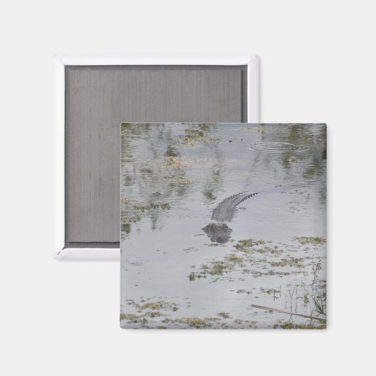 Alligator Magnet (Vorderseite/Rückseite)