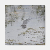 Alligator Magnet (Vorne)