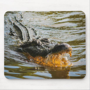 Alligator-Mauspad Mousepad