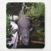 Alligator-Mauspad Mousepad (Vorne)