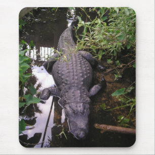 Alligator-Mauspad Mousepad