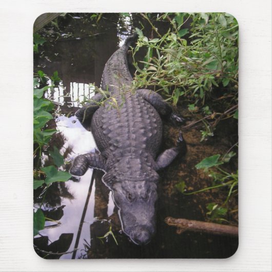 Alligator-Mauspad Mousepad (Vorne)