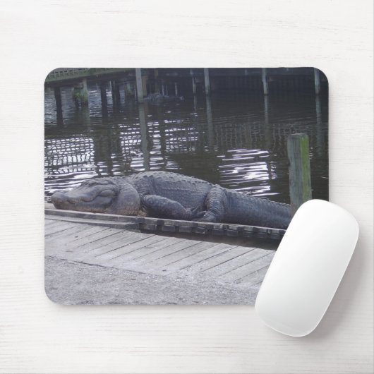 Alligator-Mauspad Mousepad (Mit Mouse)