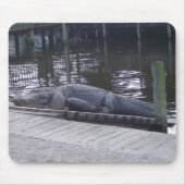 Alligator-Mauspad Mousepad (Vorne)