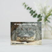 Alligator Mehr Leckereien Postkarte (Stehend Vorderseite)