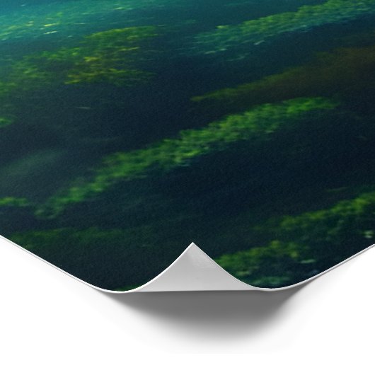 Alligator Motivation Art Poster (Ecke)