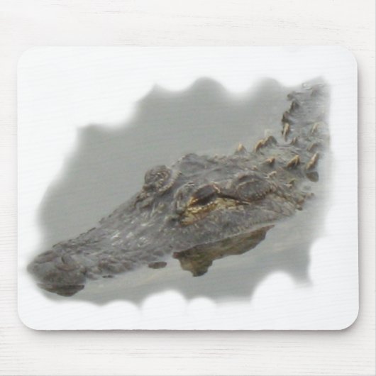Alligator Mousepad (Vorne)