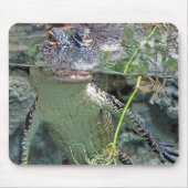 Alligator Mousepad (Vorne)