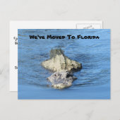 Alligator nach Florida verschoben - Neue Postkarte (Vorne/Hinten)