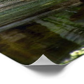 Alligator Nachmittag, Everglades, Florida Poster (Ecke)