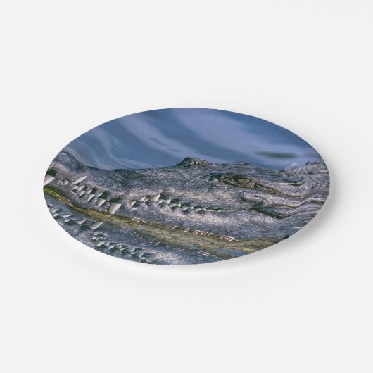 Alligator Pappteller (Schrägansicht)