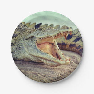 Alligator Pappteller