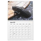 Alligator Park/Garten: Kalender (Jan 2027)