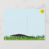 Alligator Party Postkarte (Rückseite)
