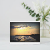 ALLIGATOR POINT, FLORIDA POSTKARTE (Stehend Vorderseite)