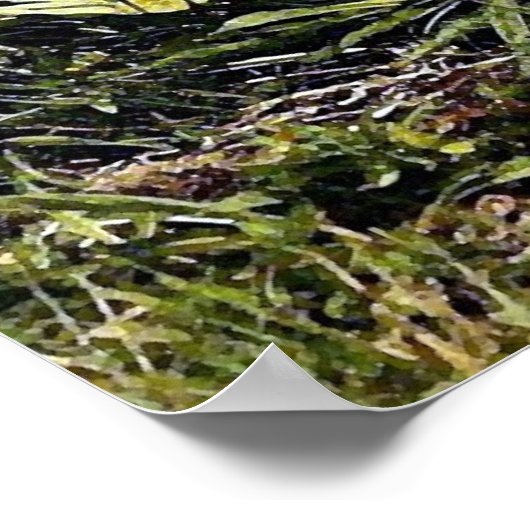 Alligator Portrait Poster Print (Ecke)