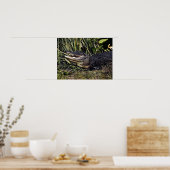 Alligator Portrait Poster Print (Küche)