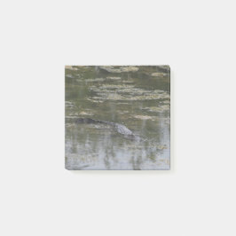 Alligator Post it Notes Post-it Klebezettel