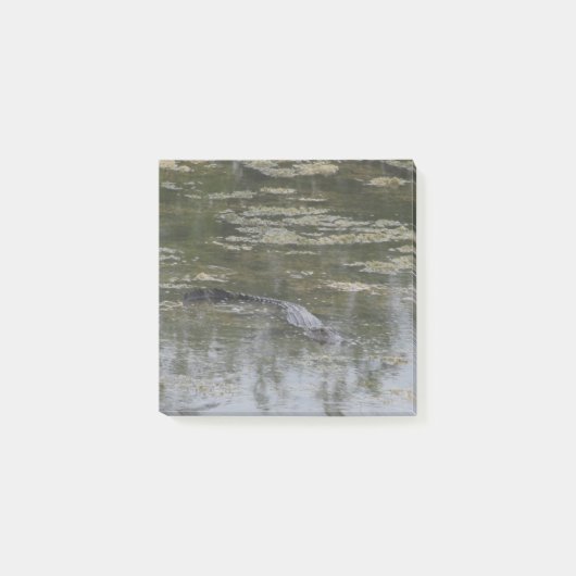 Alligator Post it Notes Post-it Klebezettel (Vorderseite)