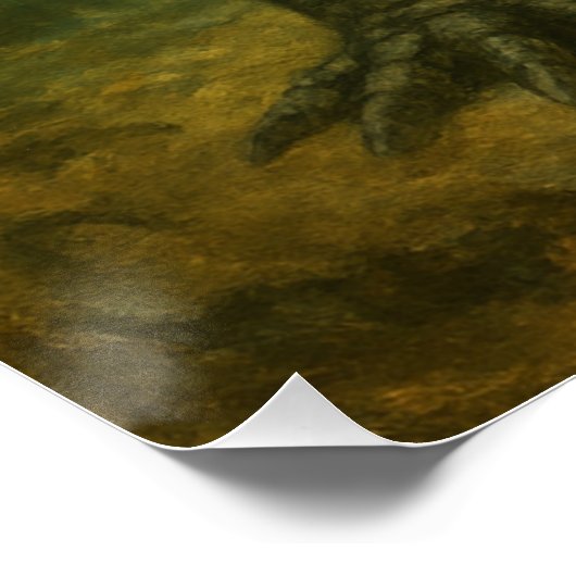 Alligator Poster (Ecke)