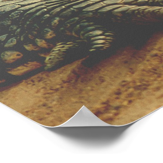 Alligator Poster (Ecke)