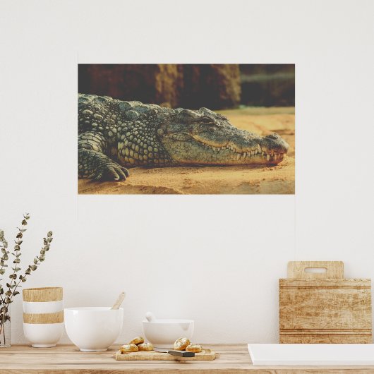 Alligator Poster (Küche)
