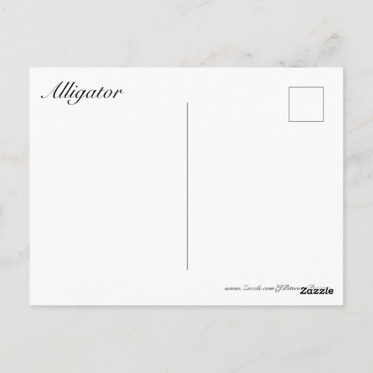 Alligator Postkarte (Rückseite)