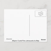 Alligator Postkarte (Rückseite)