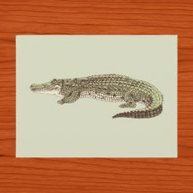Alligator Postkarte