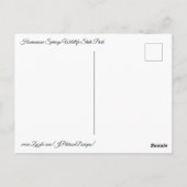 Alligator Postkarte (Rückseite)