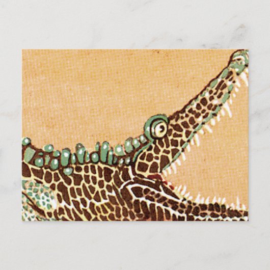 Alligator Postkarte (Vorderseite)