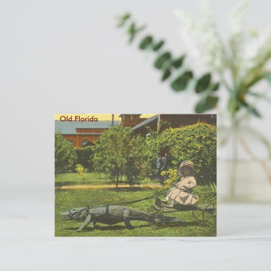 ALLIGATOR POWER, Alte Florida Postkarte (Stehend Vorderseite)