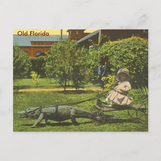 ALLIGATOR POWER, Alte Florida Postkarte (Vorderseite)