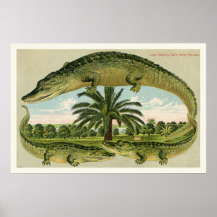 Alligator Print 1 Poster