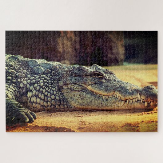 Alligator Puzzle (Horizontal)