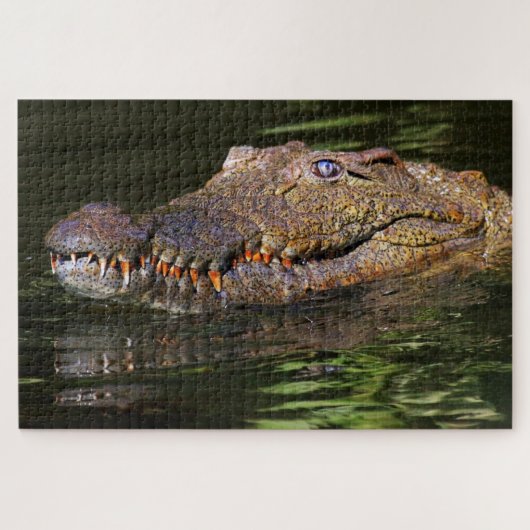 Alligator Puzzle (Horizontal)