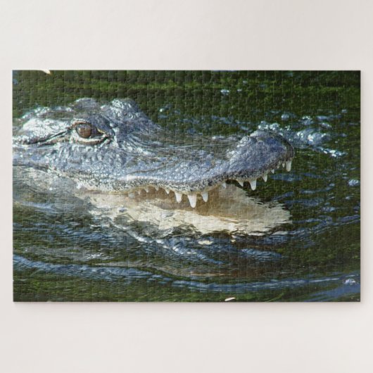Alligator Puzzle (Horizontal)
