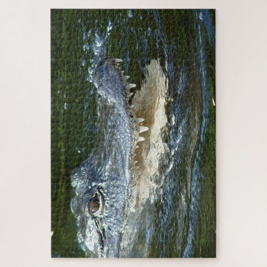 Alligator Puzzle (Vertikal)