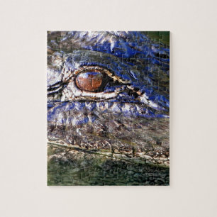 Alligator Puzzle