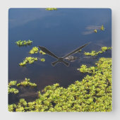 ALLIGATOR QUADRATISCHE WANDUHR (Vorderseite)