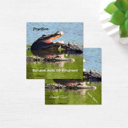 Alligator Random Acts of Kindness Card (Schreibtisch)