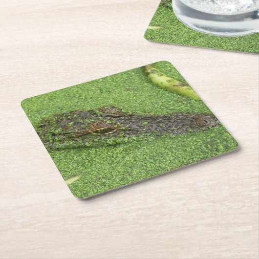 Alligator Rechteckiger Pappuntersetzer (angewinkelt)