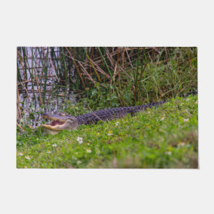 Alligator Relaxen im Viera-Feuchtgebiet Fußmatte