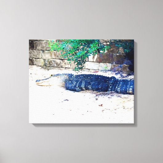 Alligator ruht an einer Steinmauer Leinwanddruck (Vorderseite)