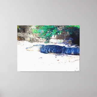 Alligator ruht an einer Steinmauer Leinwanddruck