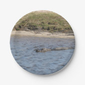 Alligator Schwimmen Florida Natur Pappteller (Vorderseite)