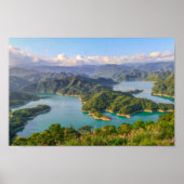 Alligator Seenlandschaft Poster (Vorne)