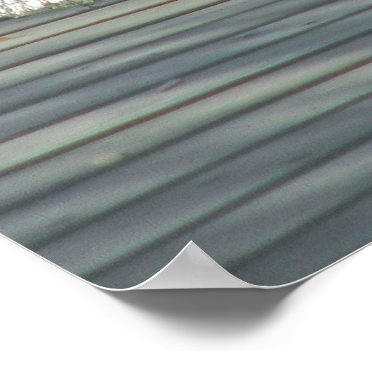 Alligator-Skripte Poster (Ecke)